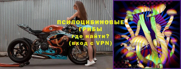 ГАЛЛЮЦИНОГЕННЫЕ ГРИБЫ Богданович