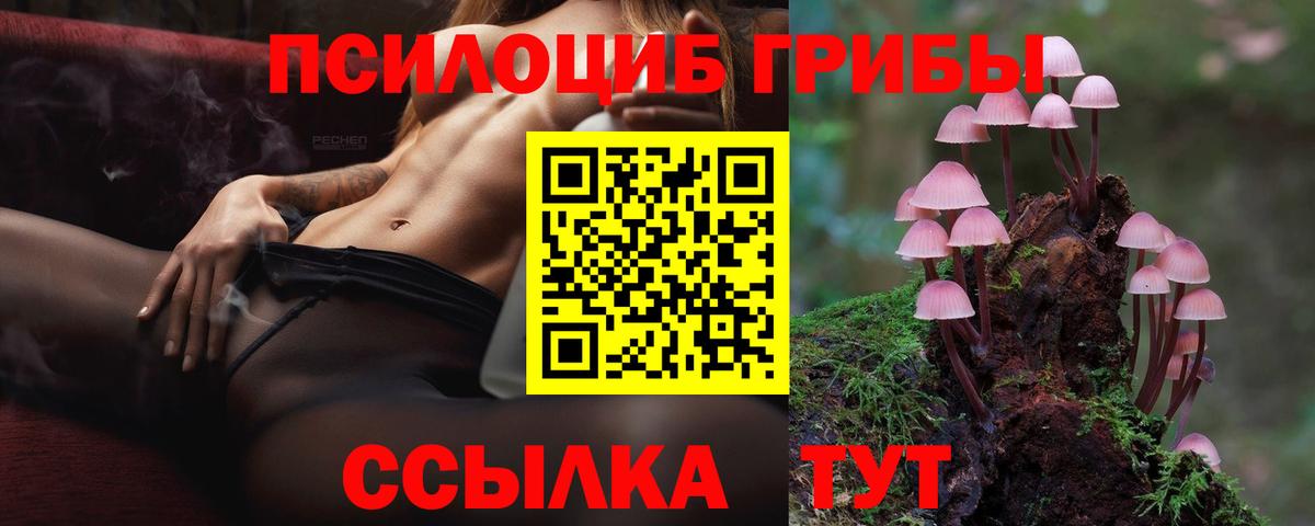Галлюциногенные грибы мухоморы  Вход с VPN  Майкоп 